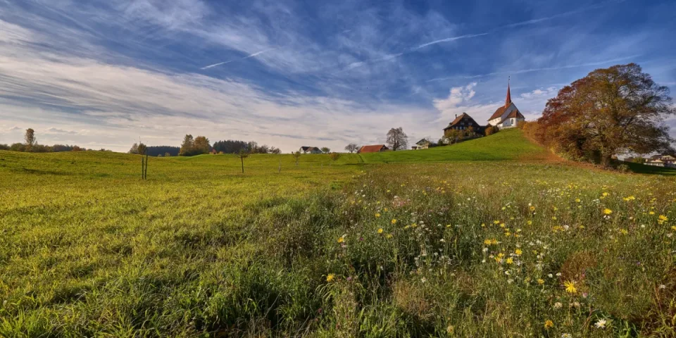 Kwiaty przeciwbólowe: naturalne alternatywy na bóle głowy i mięśni