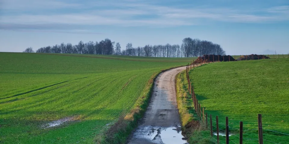 Jak wspierać dziecko autystyczne: Porady dla rodziców i opiekunów